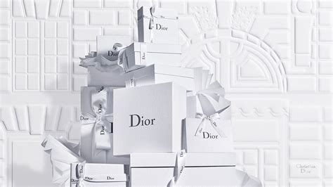 Dior official site USA